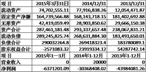 雙鷺藥業(yè)(002038)投資分析 財務(wù)資本視角