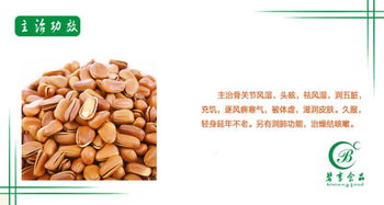 品味自然饋贈(zèng) 碧享食品250g罐裝松子，開啟健康零食新風(fēng)尚